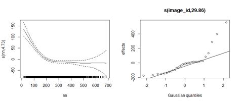 Image result for Mixed Effect Model R