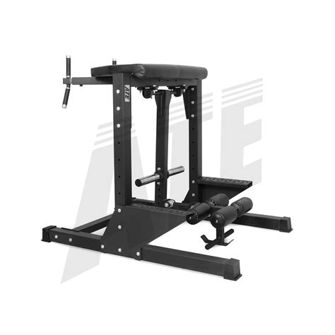 Reverse Hyper Machine –Spinal Decompression & Posterior Chain Training ...