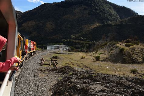 Image result for Springfield NZ