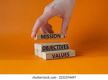 Image result for Disability Sector Operational Objectives Examples