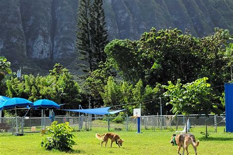 Waimanalo, Hawaii Fully Fenced Dog Parks for Rent | Sniffspot
