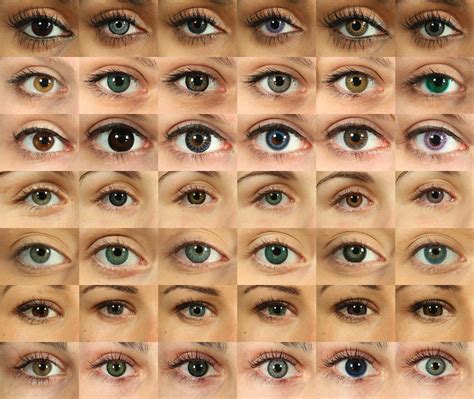 eye colors | Different eye colors 02 | eyes and hair colors | Pinterest | Eye colors