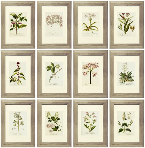 Printable Vintage Botanical Prints
