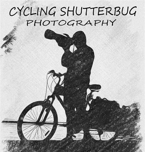 Image result for Shutterbug Live