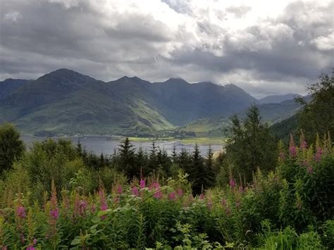 Scenic Routes (Inverness) - 2022 What to Know Before You Go (with ...