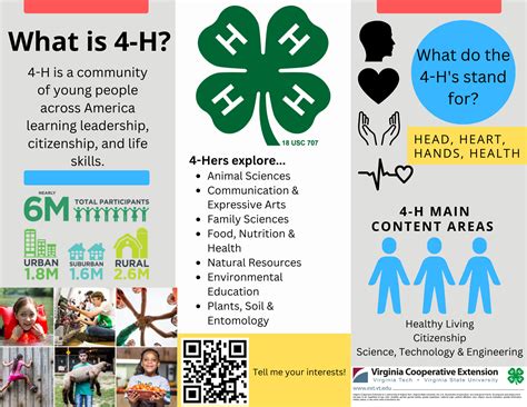 Carroll County 4-H | Carroll County | Virginia Tech