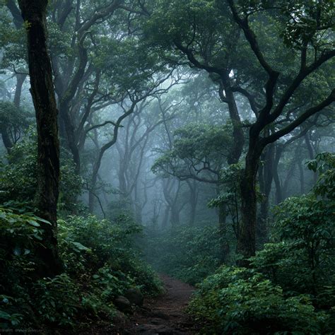 Main GET- Matheran 2026 | SOLD OUT – Ghost Encounters Tours