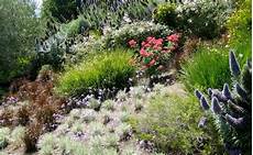 plantes vivaces pour talus couvre sols et talus vente plantes couvre sol et plantes plantes vivaces pour talus couvre sols et talus vente plantes couvre sol et plantes