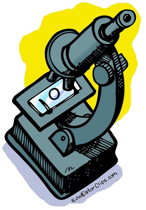 Microscope Picture Clip Art at Arthur Dwyer blog