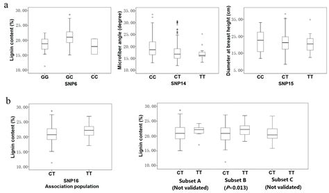 Association of Allelic Variation in PtoXET16A with Growth and Wood ...
