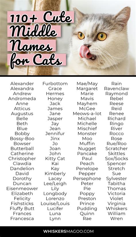 110+ Cute and Funny Middle Names for Cats - Whiskers Magoo