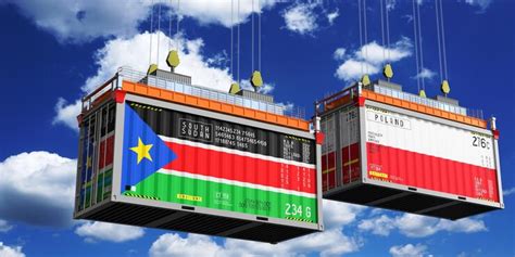 Shipping containers with flags of south sudan and poland 3d ...