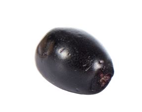 Wellwith: The Original Sea Buckthorn Company in India