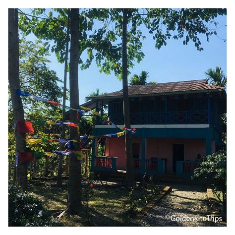 ESSENCE DOOARS (Buxa Hill Forest) - Hotel Reviews & Photos - Tripadvisor