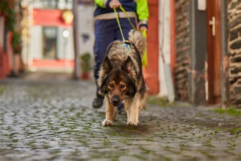 ID-Tracking Seminar , Bad Honnef, March 18 to March 21 | AllEvents.in