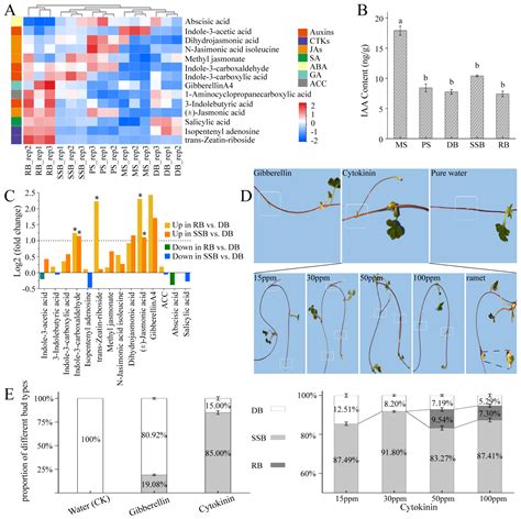Transcriptomic and Physiological Analyses for the Role of Hormones and ...