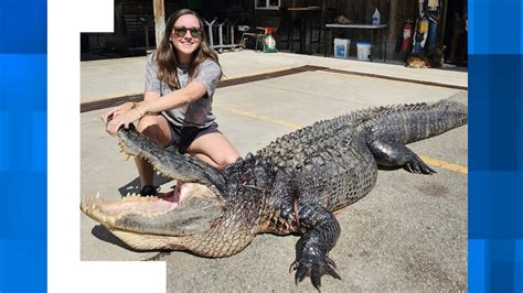 Woman on maternity leave catches 12-foot alligator, earns nickname ...