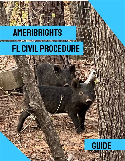 Florida Bar Exam & MBE/UBE Study Guides – Ace Your Exam