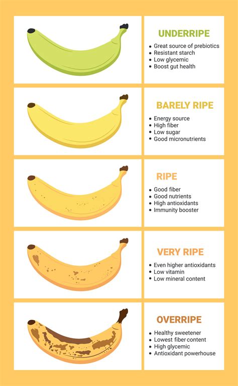 Banana ripeness chart. Stages of banana fruit ripeness with infographic. From green underripe ...