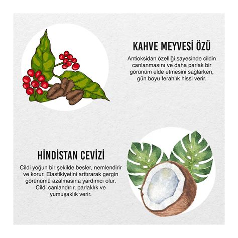 Coconut Coffee Vücut Kremi - Urban Care