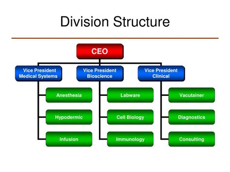Divisional Structure Example 的图像结果