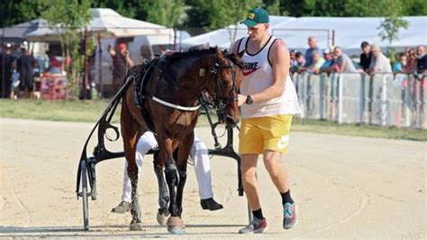 Unbridled joy: Nikola Jokić overcome with emotion after horse racing ...