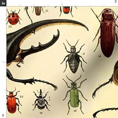 Spoonflower Fabric - Insect Print Bug Vintage India | Ubuy