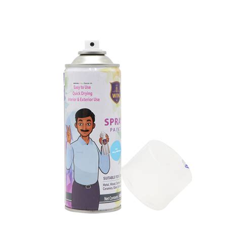 IWIN: Spray Paint Bottle - 400ml/275gms