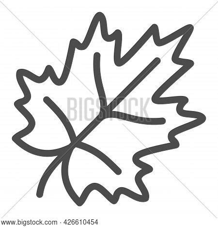 Image result for Maple Tree Line Drawing
