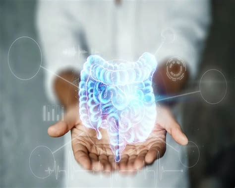Role of Fibre in Digestive Health