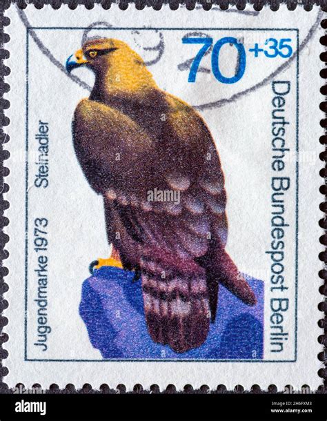 Image result for DDR Extreme Memory Card