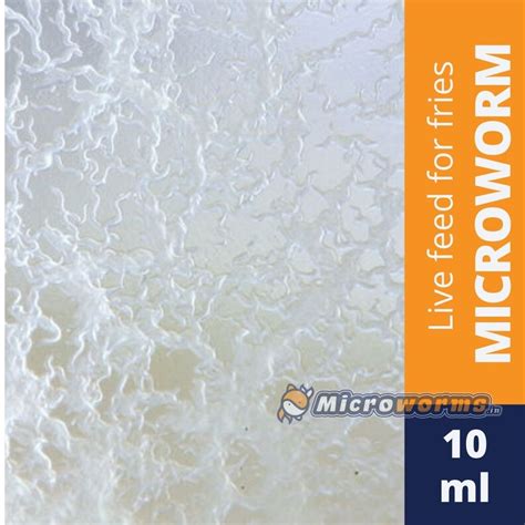 Premium Live Fish Food Cultures - Microworms, Grindal Worms & More ...