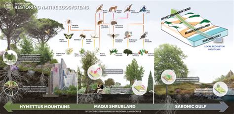 Image result for Alienh Stage