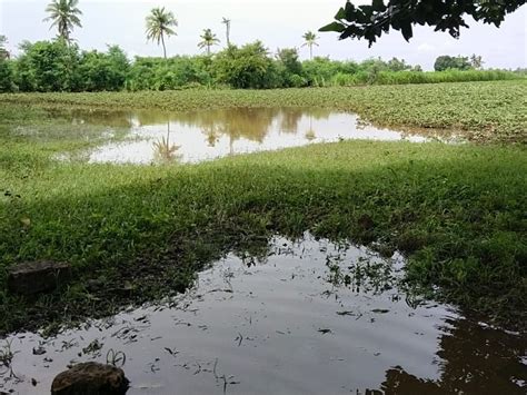 More than 100 bighas of land washed away in Rupen river of Sanwav ...