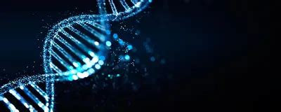 cfDNA Library Prep Process 的图像结果