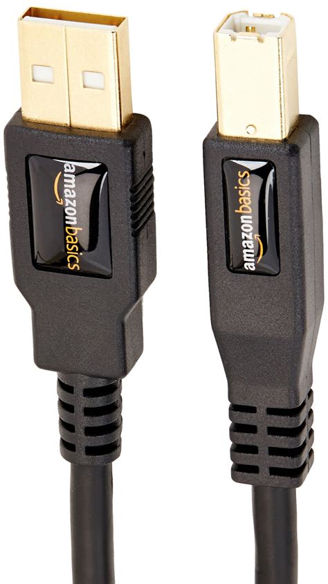 Amazonbasics Usb 2.0 Printer Cable - A-Male To B-Male Cord - 10 Feet (3 ...