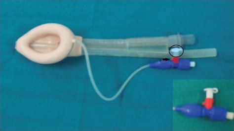 Image result for Patient Bad Example