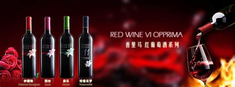 红酒 红酒 产品展示 南京阿朗斯特酒业有限公司