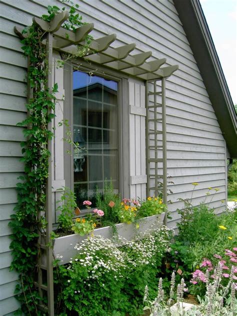 Image result for Window Box