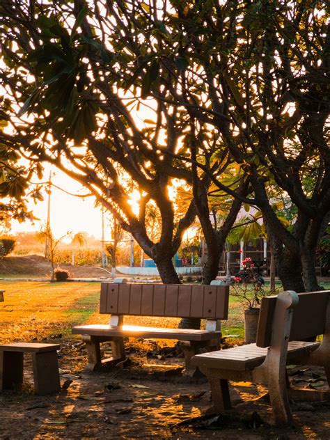 Ilumina tu resplandor: Secretos naturales de cuidado de la piel - SELFSPARK