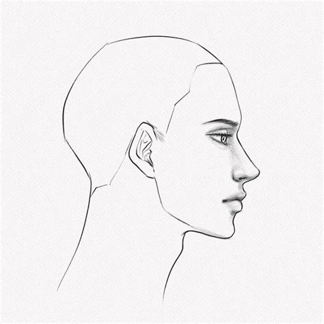 Girl Face Side Profile Drawing