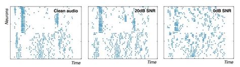 Innatera's Neuromorphic AI Chip to Accelerate Spiking Neural Networks ...
