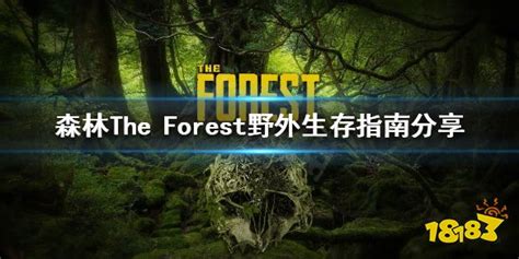 森林霸主被困树上 画面有点搞笑 - 2018年11月30日, 俄罗斯卫星通讯社