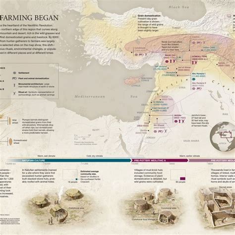 Beginning of Farming 的图像结果