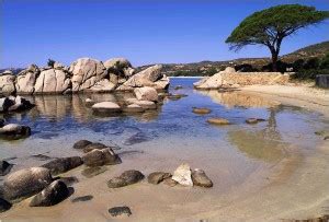 Nature Paper Print - Nature posters in India - Buy art, film, design ...