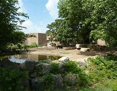 Image result for Rhino Zoo Enclosure