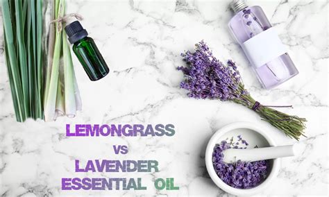 Lemongrass vs Lavender Essential Oil: Which is Better? - The Coconut Mama