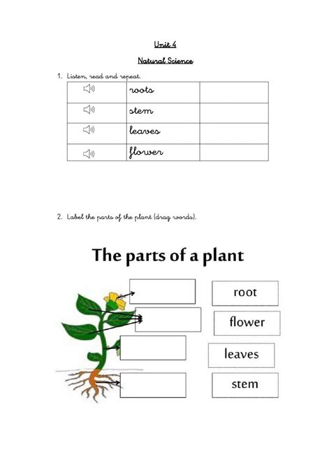 Image result for Class 2 Science Plant