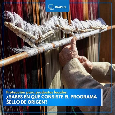 Image result for Inapi Chile