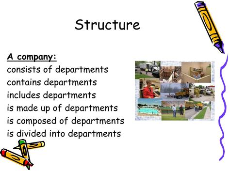 Function Structure of Company 的图像结果